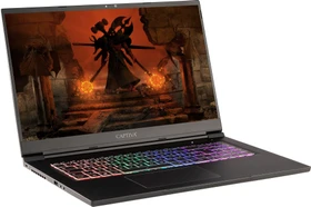 Captiva Advanced Gaming I63-628, Core i7-10870H, 16GB RAM, 500GB SSD, GeForce RTX 3060, DE (63628)