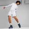 Puma X Playstation Hoodie silver mist (Herren) Vorschaubild