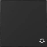 Gira Wippe mit Symbol Licht 3285