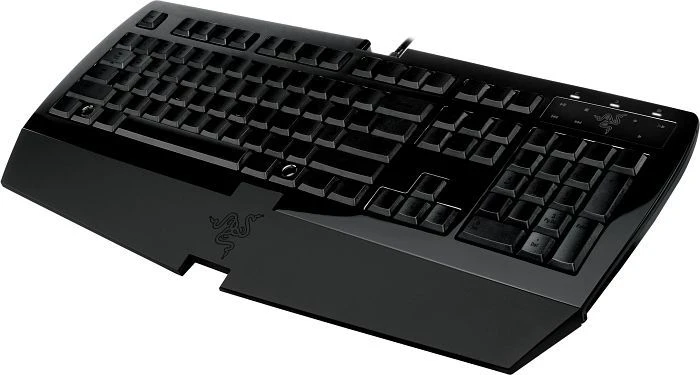 Razer Arctosa schwarz, USB, PL