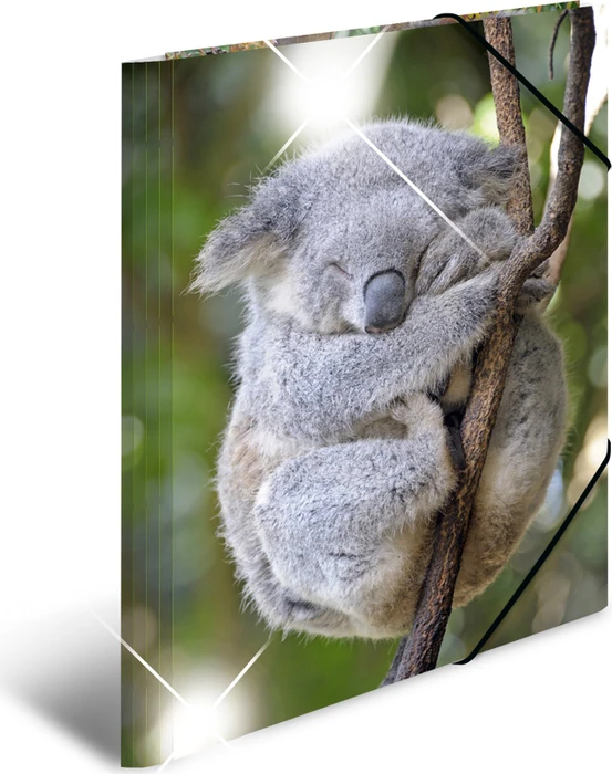 Herma Glossy Tiere Sammelmappe, A3, Koala