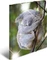 Herma Glossy Tiere Sammelmappe, A3, Koala Vorschaubild