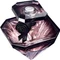 Lancôme La Nuit Trésor Eau de Parfum Vorschaubild