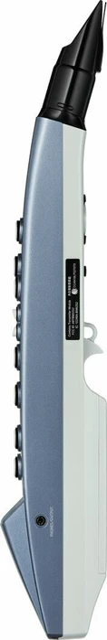 Roland Aerophone mini