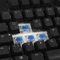 Ducky One TKL PBT schwarz, LEDs RGB, MX RGB BLUE, USB, DE Vorschaubild