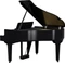 Roland GP-9 schwarz Vorschaubild