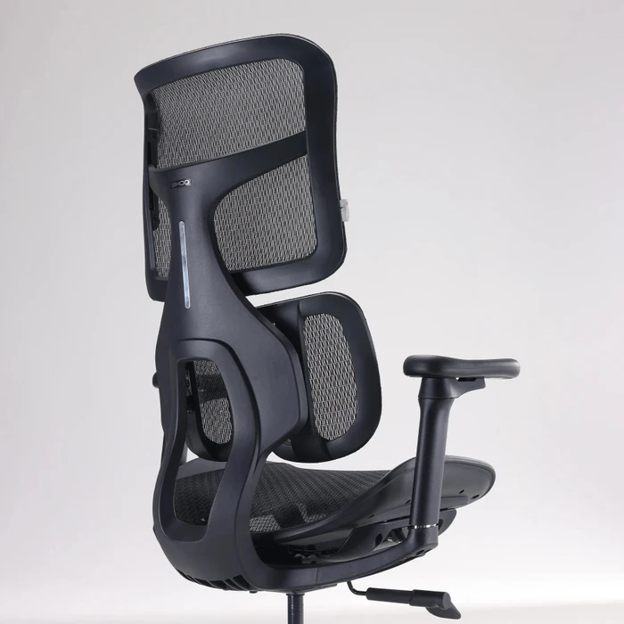 Sihoo Doro S100 Ergonomischer Bürostuhl, schwarz