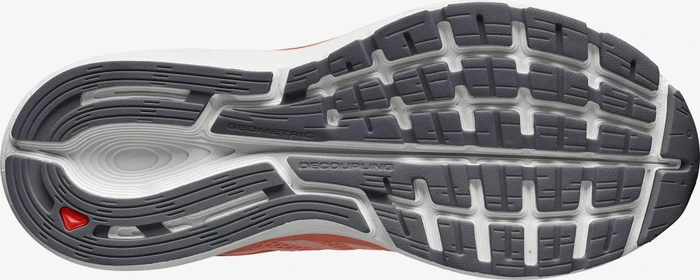 Salomon Vectur persimon/white/india ink (Damen)