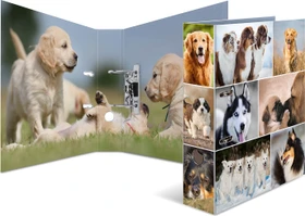 Herma Ordner 2-Ring mit Motiv, 70mm, A4, Animals Hunde