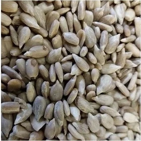 Wildvogelfutter Sonnenblumenkerne geschält 4kg