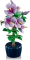 LEGO Botanicals - Hibiskus Vorschaubild
