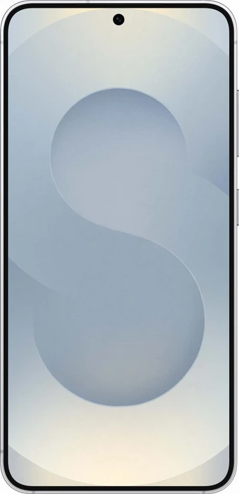 Samsung Galaxy S25 Enterprise Edition 128GB Silver Shadow