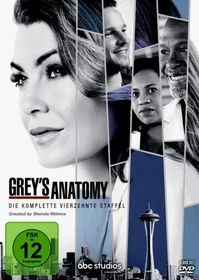 Grey's Anatomy - Die jungen Ärzte Season 14 (DVD)