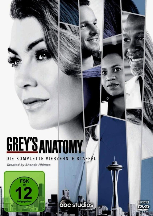 Grey's Anatomy - Die jungen Ärzte Season 14 (DVD)