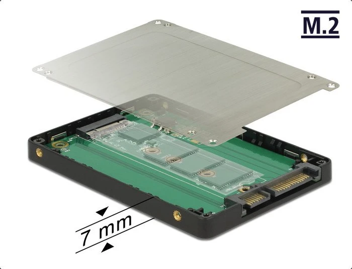 DeLOCK SATA -> M.2 SATA