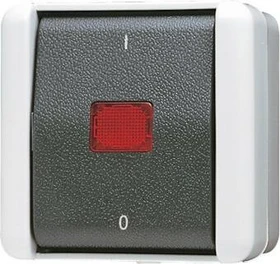 Jung WG 800 Wipp-Kontrollschalter mit Kennzeichnung I/O 10AX 250V