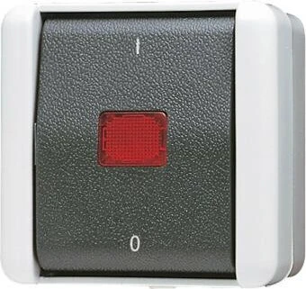 Jung WG 800 Wipp-Kontrollschalter mit Kennzeichnung I/O 10AX 250V