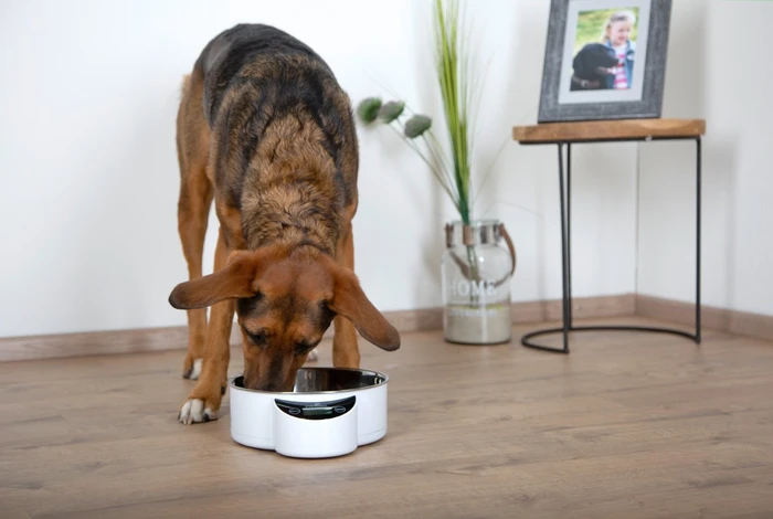 Kerbl Intelligent Pet Bowl mit integrierter Waage, 1.8l, Display, weiß