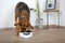 Kerbl Intelligent Pet Bowl mit integrierter Waage, 1.8l, Display, weiß Vorschaubild