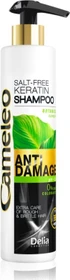 Delia Cosmetics Cameleo Keratin Anti-Damage Shampoo, 250ml
