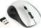 Gembird Wireless Optical Mouse 4B-02 schwarz/silber, USB Vorschaubild
