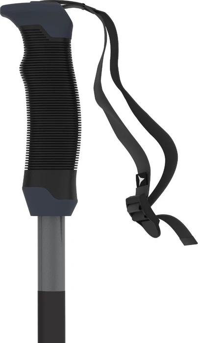 Atomic AMT SQS Alpin Skistock schwarz (Damen) (Modell 2021/2022)