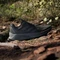 adidas Terrex Soulstride Flow GTX core black/grey six/semi impact orange (Herren) Vorschaubild