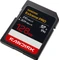 SanDisk Extreme PRO R310/W304 128GB, UHS-II, Class 10 Vorschaubild