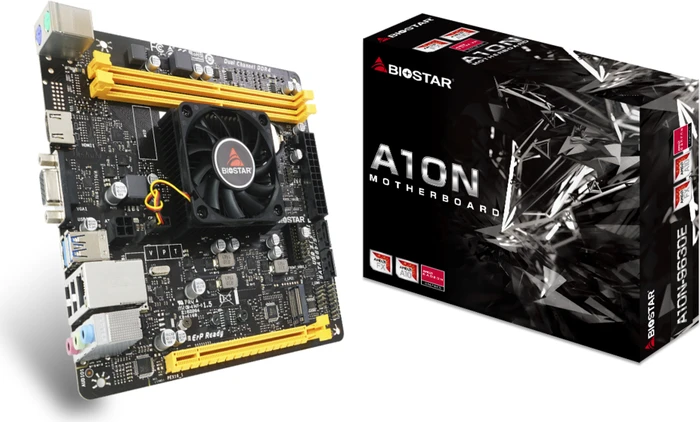 Biostar A10N-9630E