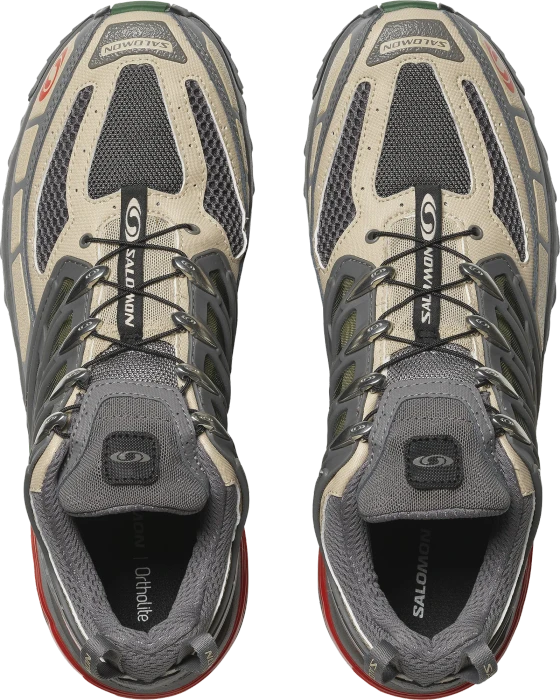 Salomon ACS Pro pewter/cement/eden