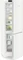 Liebherr CBNc 5223-22 Plus BioFresh NoFrost Vorschaubild