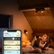 Philips Hue White Ambiance Runner Spot 2-flammig schwarz Vorschaubild