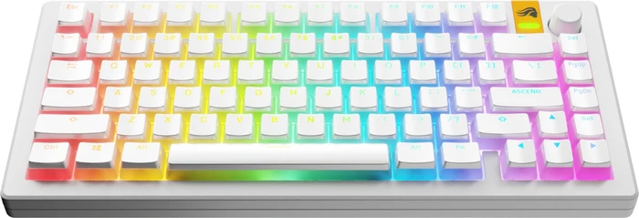 Glorious Aura V3 Keycaps, Kunststoff (PBT) Double-Shot, weiß/transparent, 130 Tasten, ANSI-US