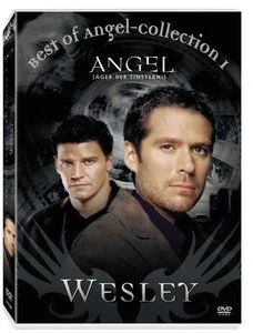 Angel - Jäger der Finsternis - Best of Wesley (DVD)