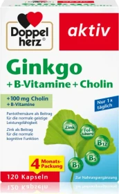 Doppelherz aktiv Ginkgo + B-Vitamine + Cholin Kapseln, 120 Stück