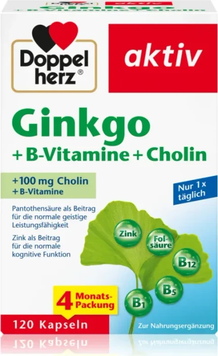 Doppelherz aktiv Ginkgo + B-Vitamine + Cholin Kapseln