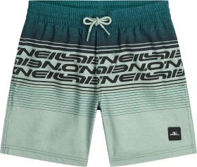 O'Neill Logo Stripe Badeshorts green heritage (Junior)