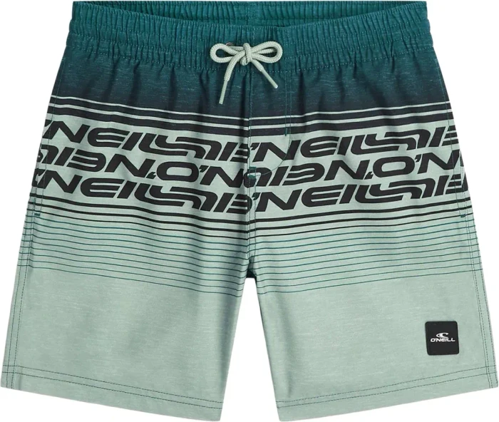 O'Neill Logo Stripe Badeshorts (Junior)