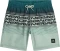 O'Neill Logo Stripe Badeshorts (Junior) Vorschaubild