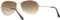 Ray-Ban RB3362 Cockpit 56mm gold/light brown gradient Vorschaubild