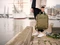 Golla Orion 15.6" Laptop-Rucksack, grün Vorschaubild