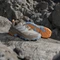 adidas Terrex Skychaser AX5 beige/off white/cardboard (Damen) Vorschaubild