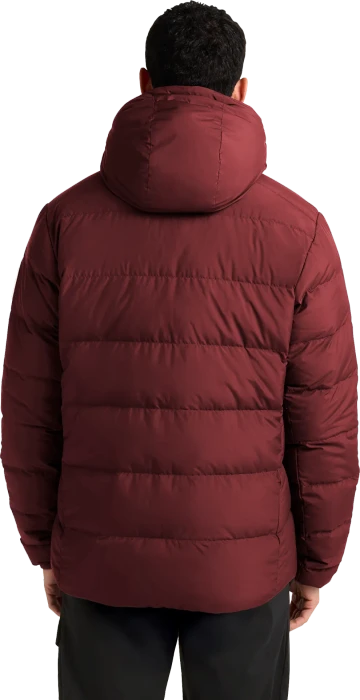 Jack Wolfskin Colonius Funktionsjacke merlot (Herren)