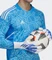 adidas Predator Pro Torwarthandschuhe white/hi-res blue Vorschaubild