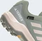 adidas Terrex GTX silver green/linen green/preloved fig (Junior) Vorschaubild