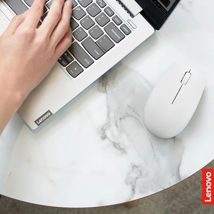 Lenovo 300 Wireless Compact Mouse Cloud Grey, USB