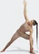 adidas Yoga Studio Seasonal Hose lang shadow red (Damen) Vorschaubild