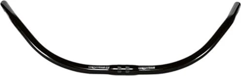 Ergotec Beach Cruiser 25.4mm/84mm Riser Lenker 700mm schwarz