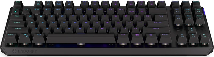 Endorfy Thock TKL Wireless, PBT, LEDs RGB, hot-swap, Black, Kailh Box BLACK, USB/Bluetooth, US