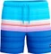 Speedo Redondo Edge 40cm Badeshorts (Herren) Vorschaubild